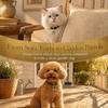 Anti Theft Dog Charm Bells Extra Loud Pet Pendant Bells Decorative Pet Collar Bells  Pets Training