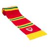 FA Wales Retro Bar Scarf