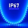 AC 220V Dimmable RGB Warm White LED Strip Light 5050 Waterproof Flexible Room Decor 60 LEDs Per Meter