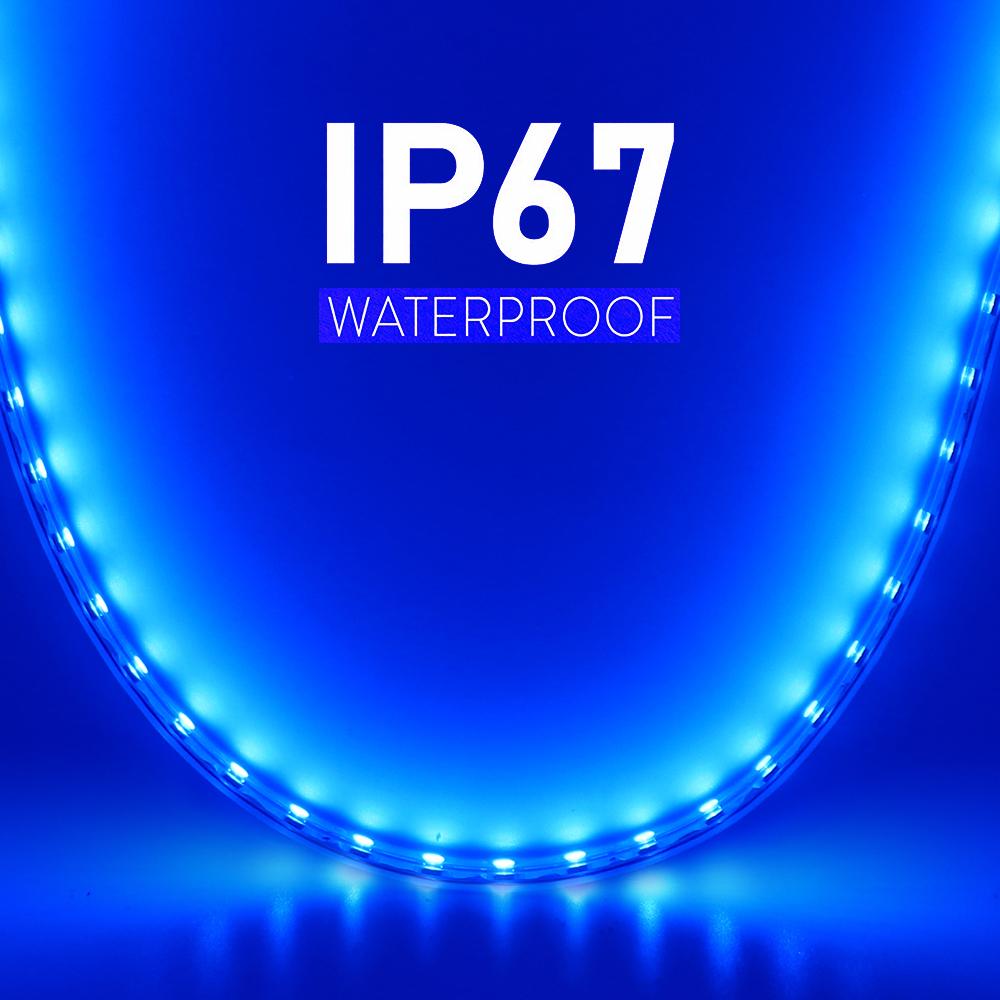 AC 220V Dimmable RGB Warm White LED Strip Light 5050 Waterproof Flexible Room Decor 60 LEDs Per Meter