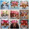 5d алмазная живопись кошка DIY мозаика цветок полная круглая/квадратная Алмазная вышивка животное ремесленный декор для дома