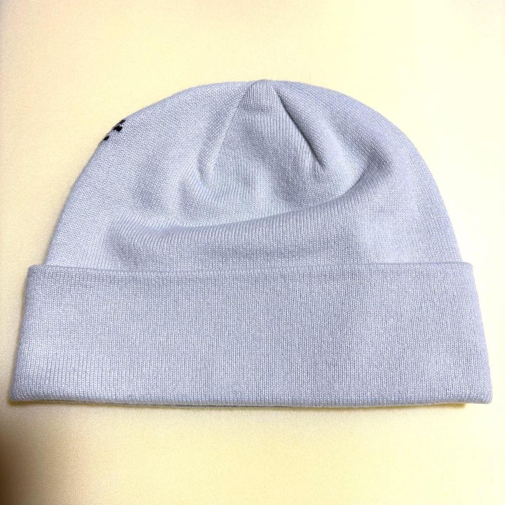 Б/у шапка Arc'teryx Bird Word Toque Bird Word Talk