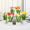 Растение Шелковый Цветок Тюльпаны Цветок Бонсай Искусственное Украшение Цветы Тюльпаны Горшок Офис Комната Дом
