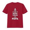 Werdender Papa T Shirt I Cant Keep Calm Ich Werde Perfect for Expectant Fathers vintage Washed Soft Casual homme fashion