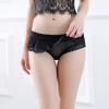 Korean Version Of Transparent Sexy Lace Ladies' Underwear