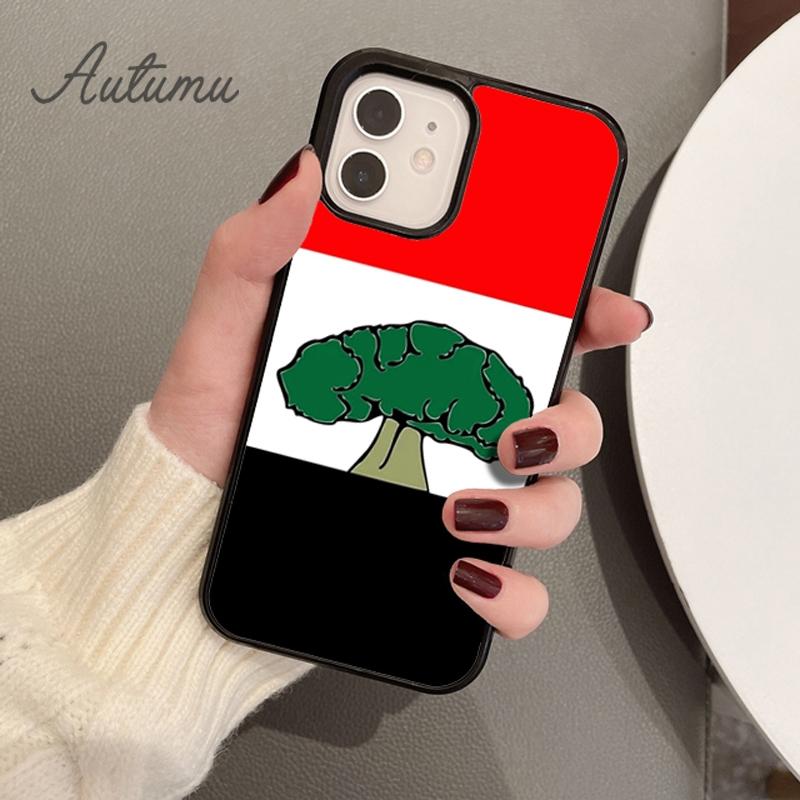 Чехол для телефона с флагом Сомали Оромо Оромия для iPhone 11 12 13 14 Pro Max mini X XR XS SE 2020 5 6S 7 8 Plus