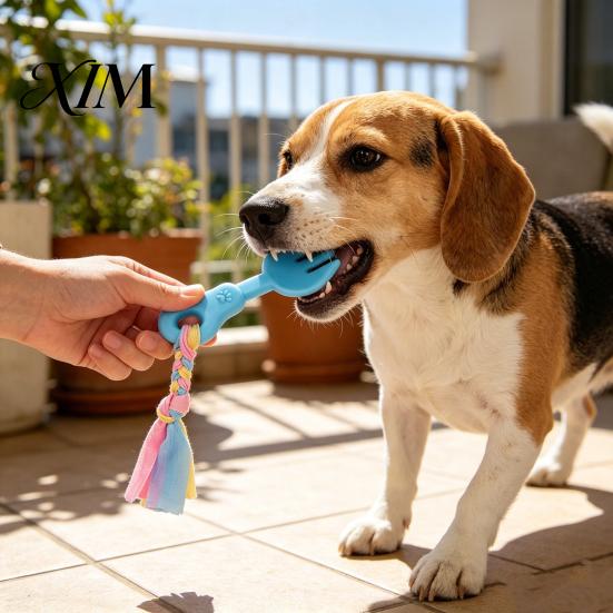 Safe Oral Care Pet Toys Molar Teeth Cleaning Fork Toy, Durable Woven Rope Training Macaron Energy Consuming Dog Colors Interactive TPR Chew