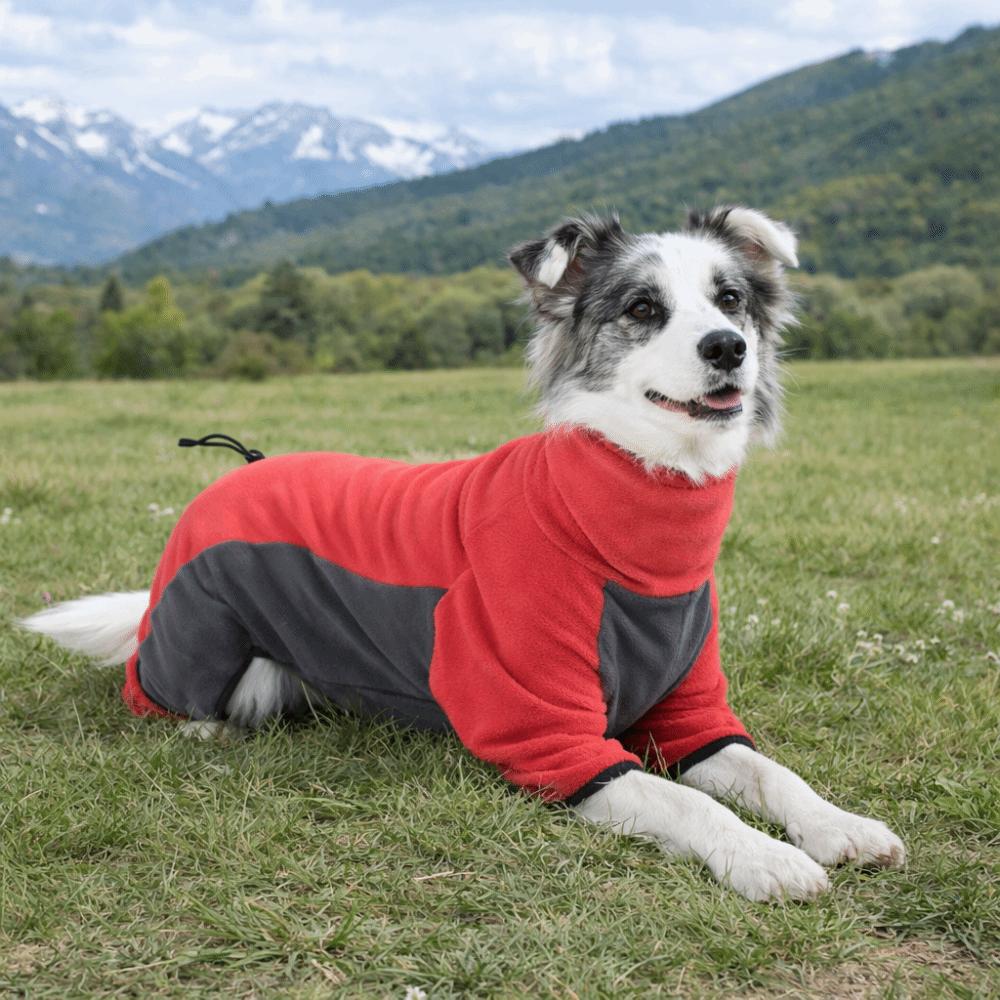 High-Neck Fleece Dog Clothes Windproof Dog Jackets Cozy Winter Dog Jumpsuit Medium Large Dogs