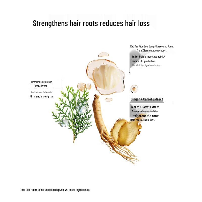 Changfa Xiaozhai Anti-Hair Loss Strengthening Shampoo