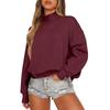 Women's Sweatshirt Long Sleeve  Casual Comfort Loose Lightweight Women's Sweatshirt