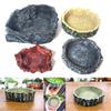 Reptile Box Tortoise Food Bowl Resin Spider Snake Lizard Turtle Feeding Basin