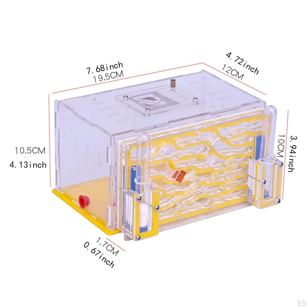 Домик Nest Farm Среда обитания Инкубатор для разведения на День рождения Дом День защиты детей