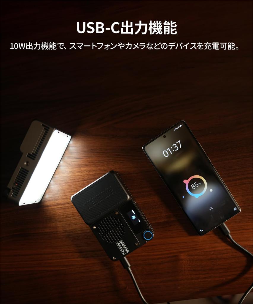 Amaran ACE25X Small Video Light (Silver)