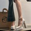 Fashion 2025 Spring Thick Heel Women Mary Jane Shoes Fashion Ankle Strap Ladies Elegant Wedding Party Pumps