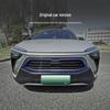 Modified Insect-Proof Radiator Mesh Guard for Nio EC8/ES8 Grille