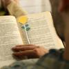 Закладка в виде розы, изысканный металлический держатель для страниц книги, подарок учителю для любителей чтения, День святого Валентина
