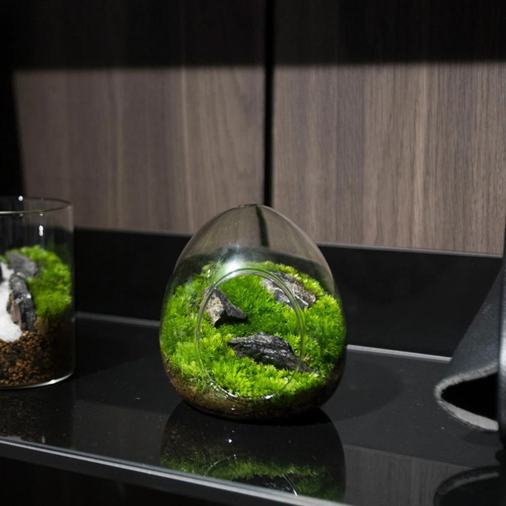Egg-shaped Terrarium Succulent Glass Vase Micro Landscape Glass Home Decoration Glass Bottles