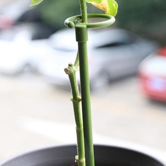 6 шт. Колышки для поддержки растений, выдвижные колышки для поддержки, палочки для орхидей с кольцевыми зажимами для комнатных и уличных растений, томатов, овощей, монстеры