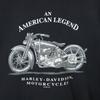 Harley Davidson 90-е Сделано в США Авторское право Толстовки с длинным рукавом Мужские Б/У