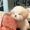 Красочные плюшевые стержни для скручивания шерстяные нитки железная проволока скручивающиеся палочки полоски DIY Kawaii поделки игрушки скручивающиеся палочки швейные принадлежности