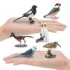 Colorful Lifelike And Pvc Bird Models Set Featuring Parrots Owls And Exotic Birds Ideal For Decor Home