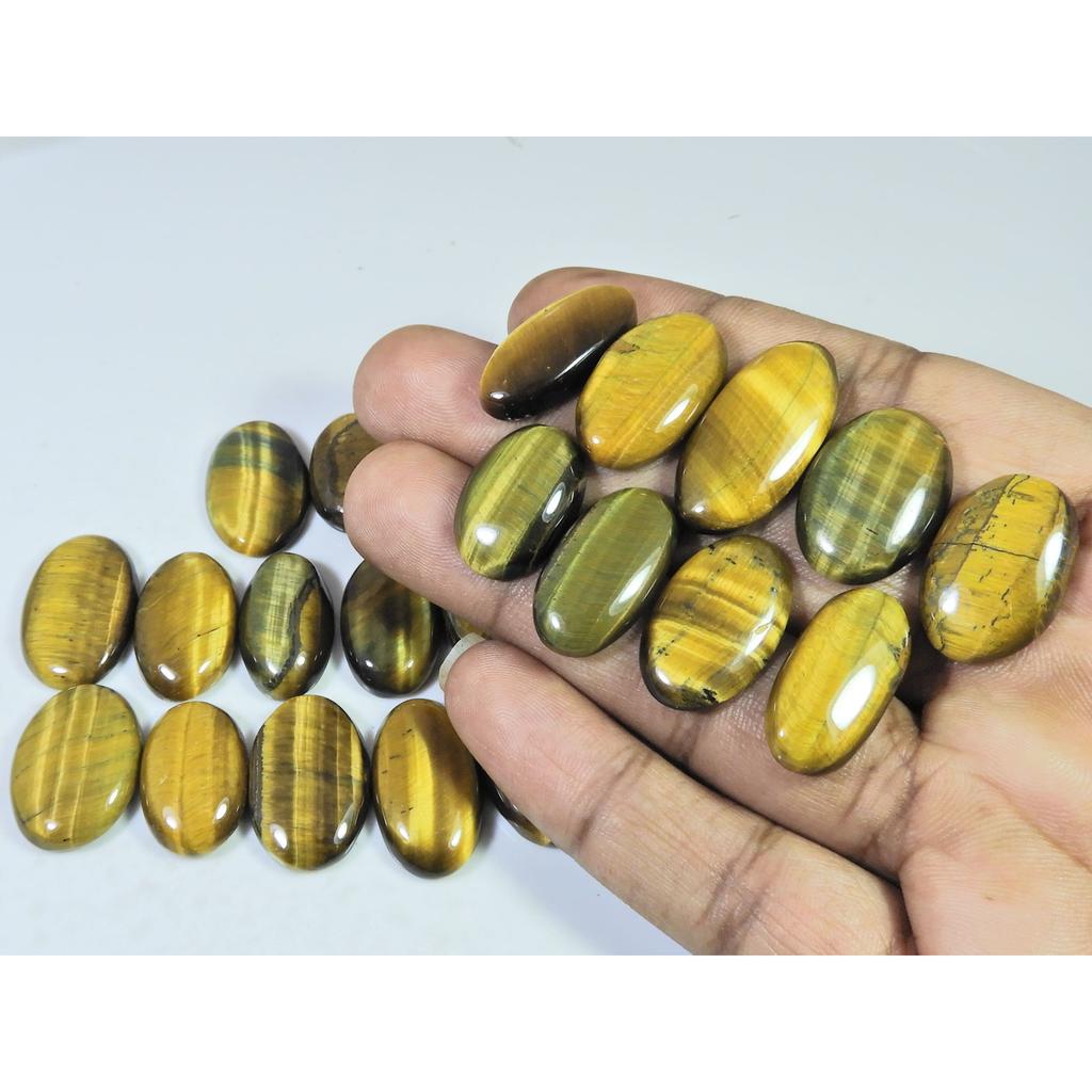 310Cts. Natural Tiger Eye Oval Cabochon Loose Gemstone 22Pcs Lot 20-27 MM C-729