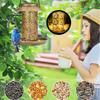 Charming Outdoor Solar Metal Hummingbird Feeder And Decorative Garden Light For Bird Feeding And Watering