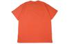 Nike ACG T Shirts Men's Crew Neck Moderate Straight Fit BQ7343-842