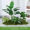 Bionic Fake Plants for Indoor Decoration: Living Room, Window Display, Under Stairs, Corner Arrangement.