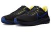 Air Zoom Pegasus 39 Low Черный - DZ4846-001
