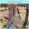 Simple Solid Color Large Capacity Women Casual Woven Tote Bag For Casual Outings