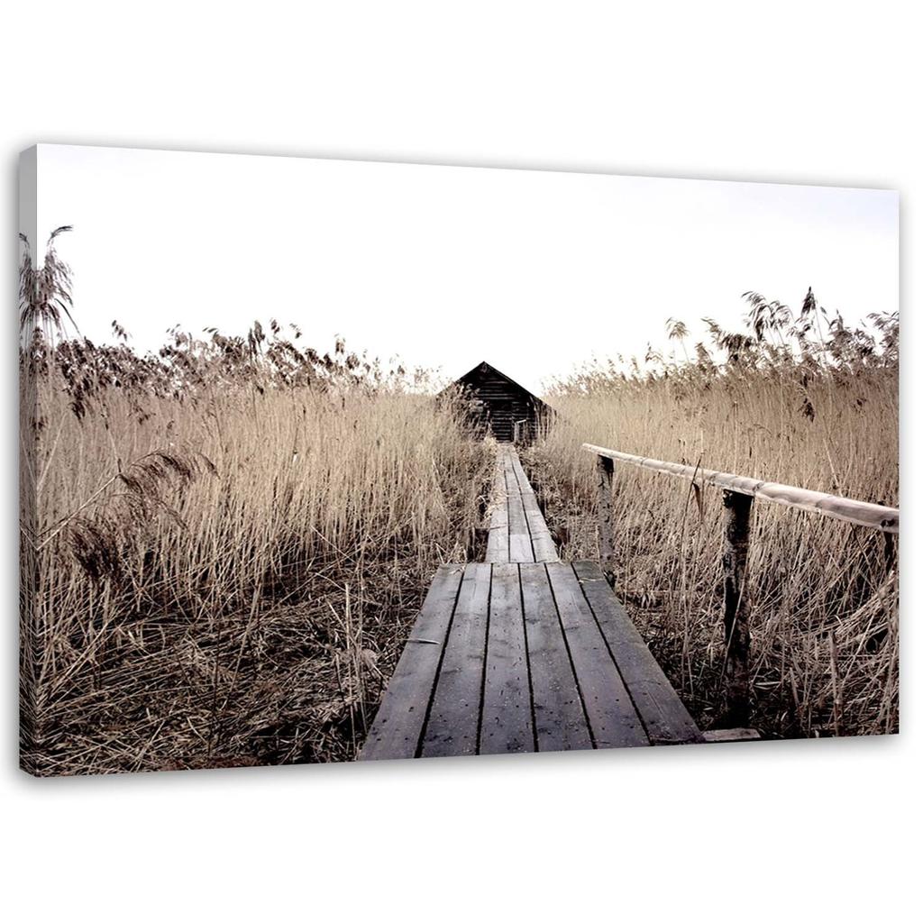 Canvas print, Old bridge in high reeds