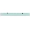 VidaXL Wall Shelves 2 Pcs Glass 100 X 10 Cm 8 Mm