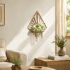 Vase Hydroponic Plant Holder Home Ornaments Flower Pot Wall Hanging Planter Shelf  Wall Mount