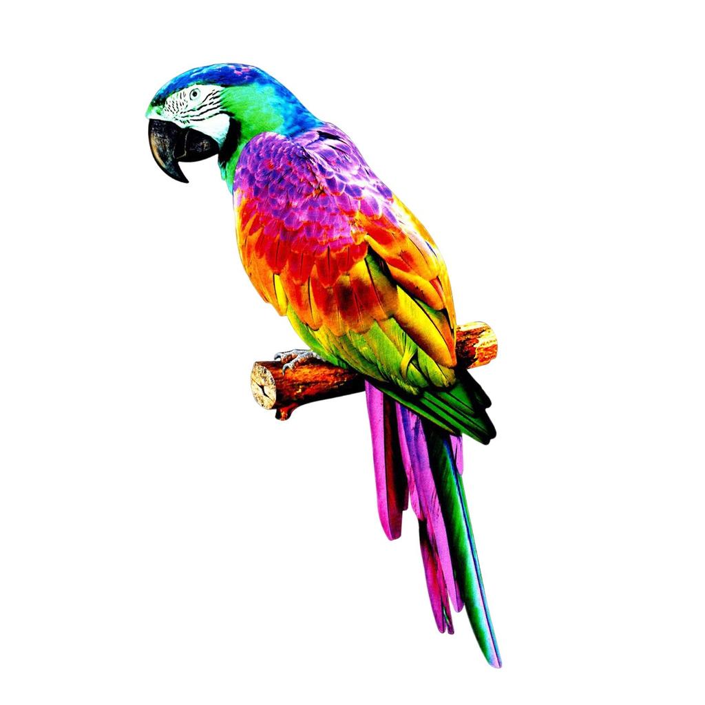 Handcrafted Parrot Sculpture for Outdoor And Indoor Decor