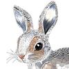 Clear Faux Crystal Bunny Figurine 2D Flat Acrylic Rabbit Table Sign for Home Office Garden Patio Desktop Decoration