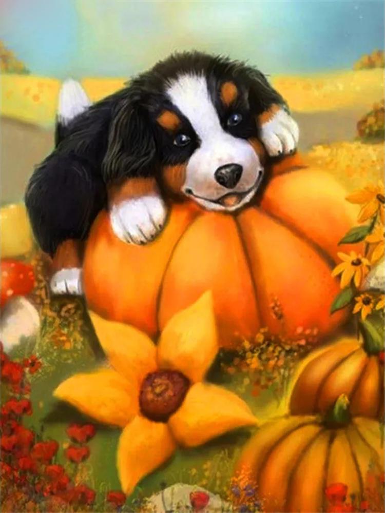 Алмазная вышивка тыква поделки алмазная живопись Хэллоуин вышивка крестом набор мозаика мультфильм полный квадрат круглый настенное искусство