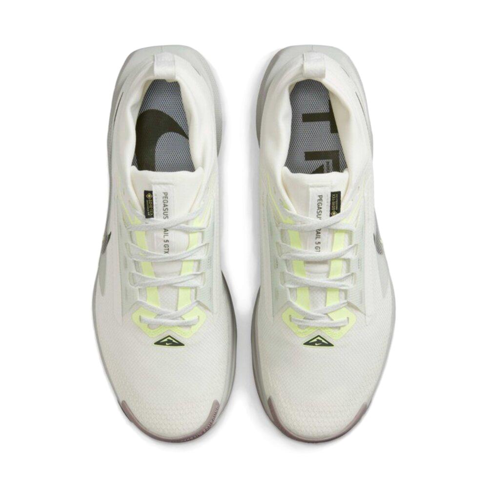 Nike Pegasus Trail 5 GORE-TEX Light Silver Sequoia Men Sneakers Grey Summit-White College-Grey FQ0908-102