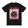 Чувствую себя романтично Смешная футболка с мемом кота Мужская Женская Одежда Мода Харадзюку Футболки Хлопок Повседневные Футболки с коротким рукавом