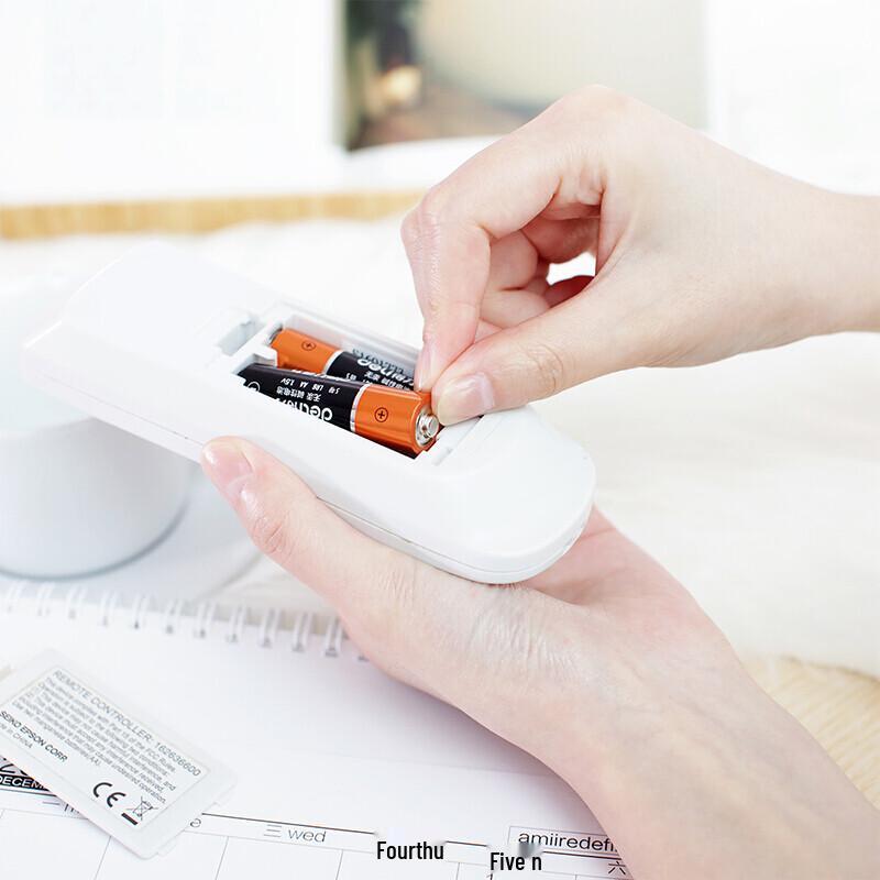 Deli Alkaline AA Batteries CN plug (adapter included)
