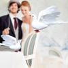 Eye-catching Realistic Looking Delicate Texture Simulation Pigeon Artificial Bird Wedding Party Desktop Statue for Home