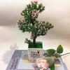 Simulated Flowers Artificial Potted Artificial Plants Ornament For Indoor Decor