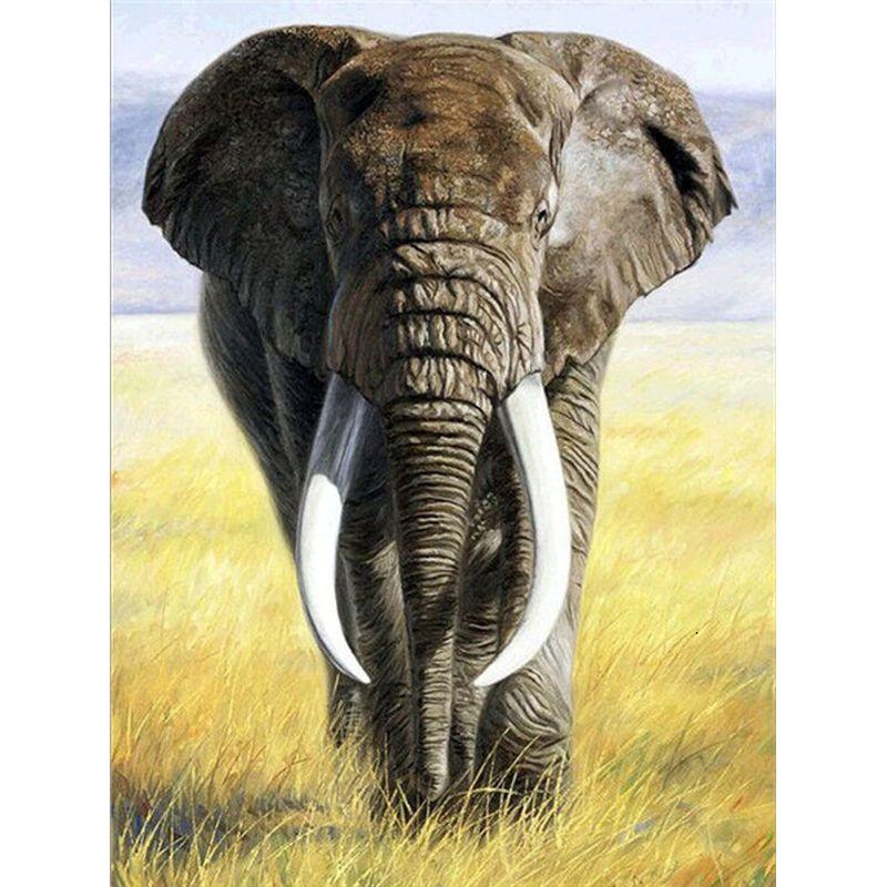 5D Diamond Painting Kit Peacock Elephant Animal Mosaic DIY Dandelion Diamond Embroidery Rhinestone Home Decoration