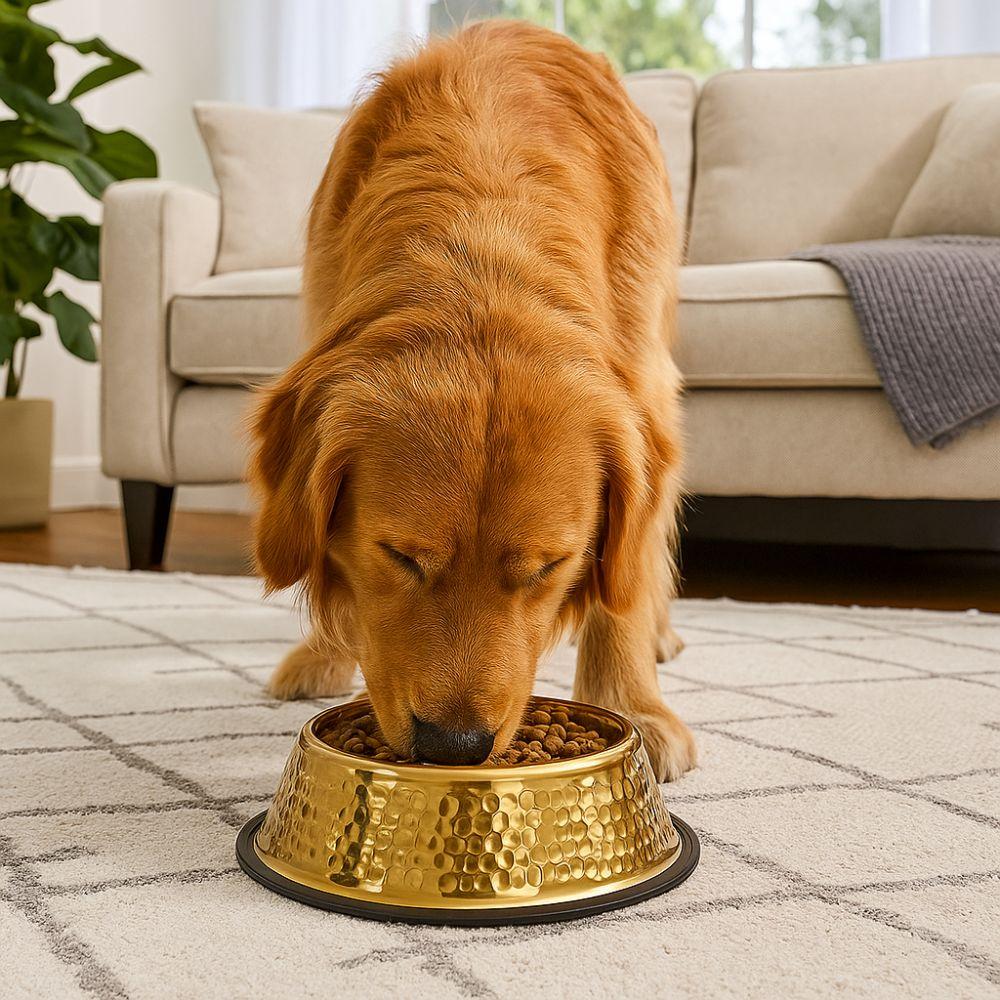 Stainless Steel Pet Feeding Bowl Gold Plated Cat Food Dish Anti-fall Dog Food Basin for Feeding