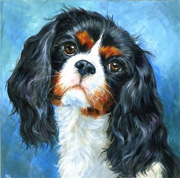 5d Sale Embroidery Diamond Diy Diamond Painting Dog Animal Rhinestone Picture