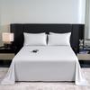 New Ice Silk Solid Color Minimalist Style Cooling Flat Sheet 1/3pcs with Pillowcases Breathable Washable Twin/King/Queen