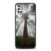 Forest Beach Sunrise Nature Phone Case For OnePlus 10 9 8 7 7T Pro 9RT 9R 8T Nord N100 N200 N10 CE 2 5G Z Soft Silicone Cover
