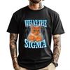 2025 Новый ERM What The Sigma Мем Кот Ироничный Мозголом Y2K Бренд Футболка Классические и Универсальные Рубашки Большой Размер Vaporwave