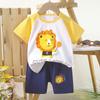 Children's Casual Short-sleeved Summer Cotton T-shirt Set for Boys and Girls