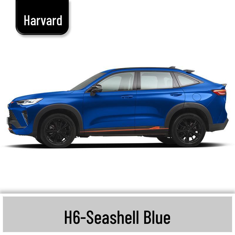 Карандаш для подкраски Haval H6 Cool Dog, Черный Spot & Ruixue Белый Краска для ремонта царапин